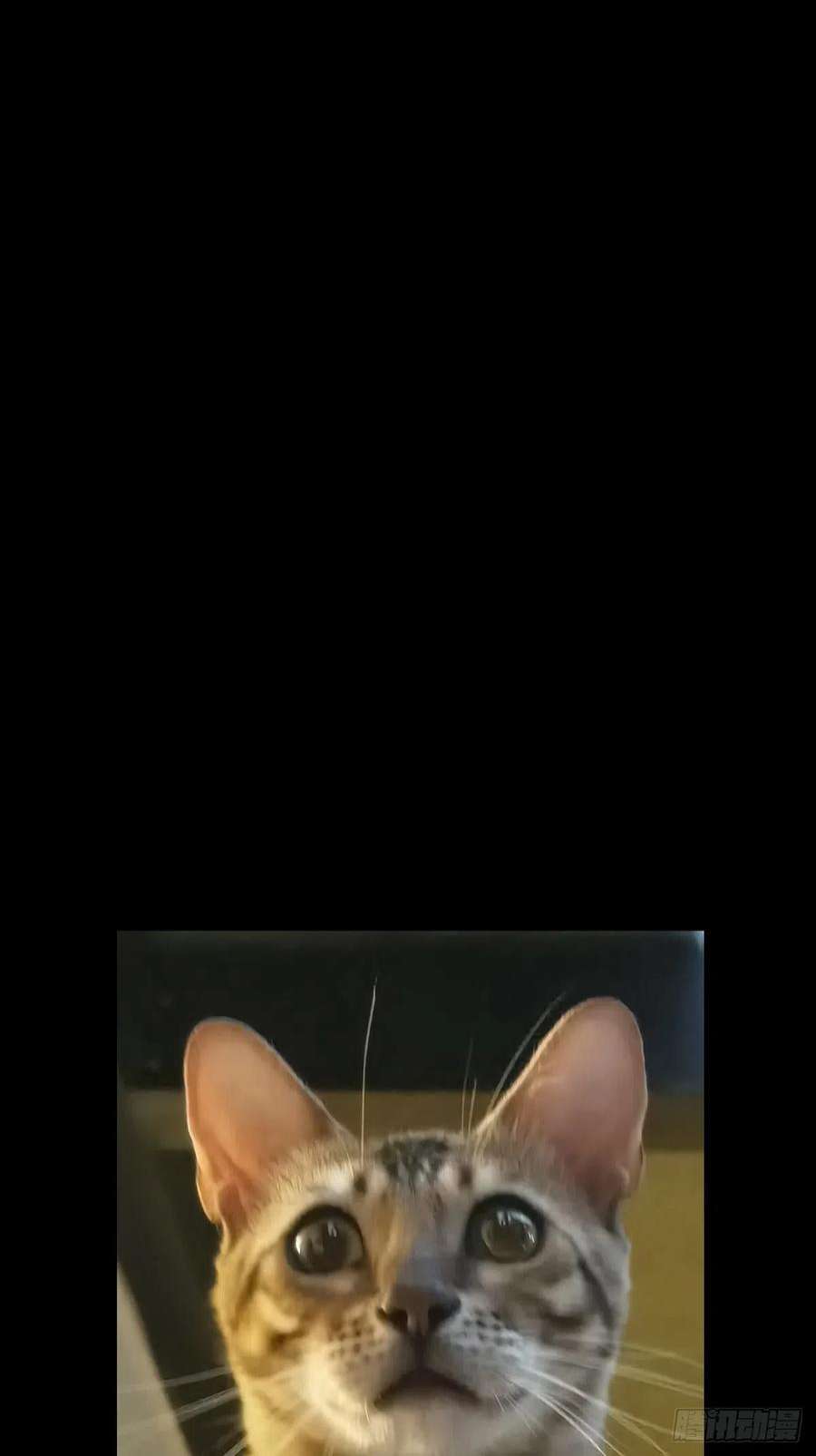 大象无形二百三十八话失去信心上