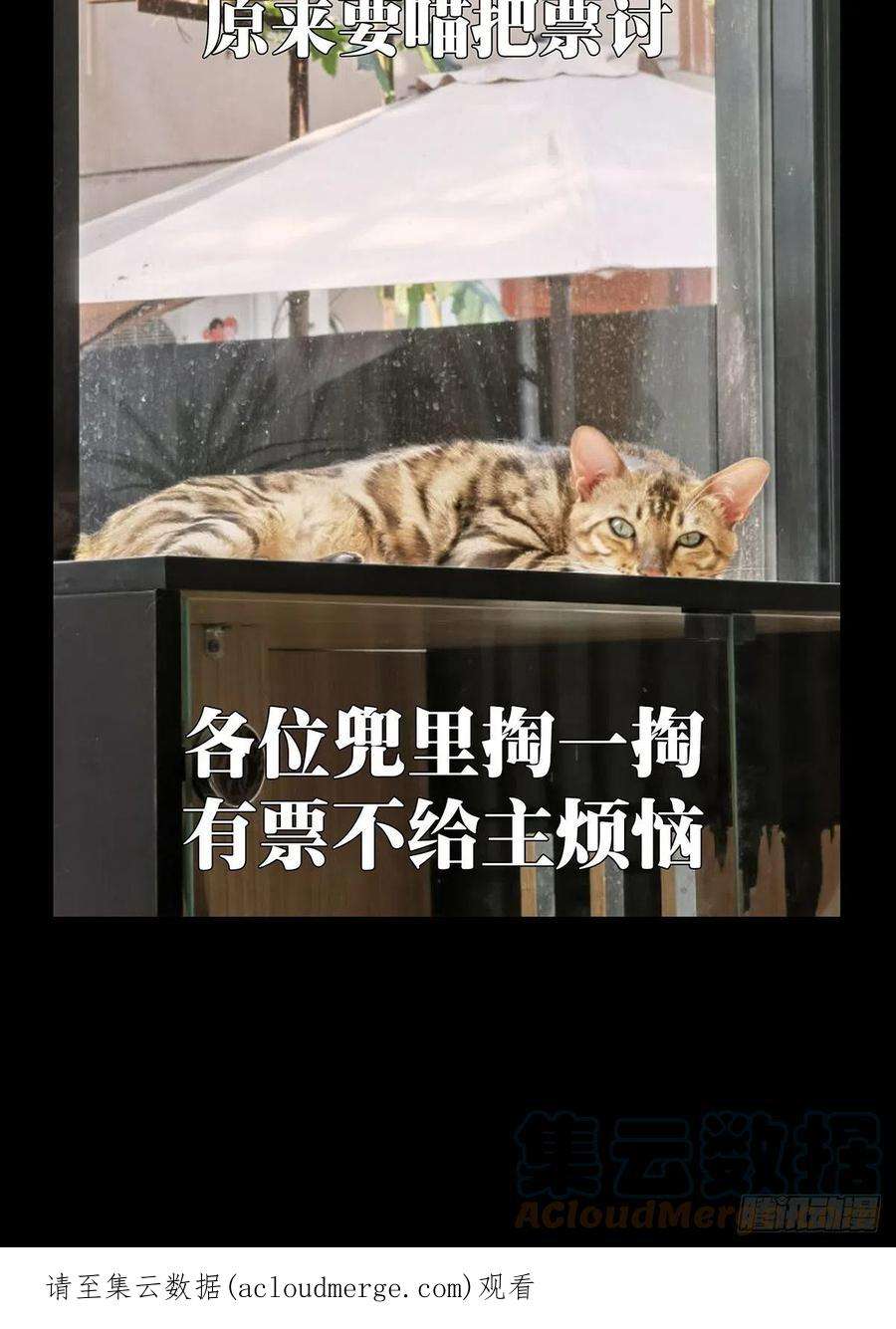 大象无形二百四十一话差距上