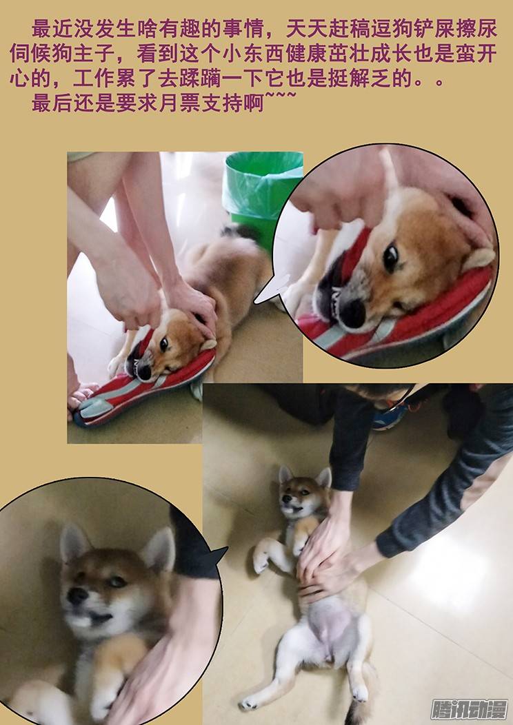 妹子与科学185 致命伤