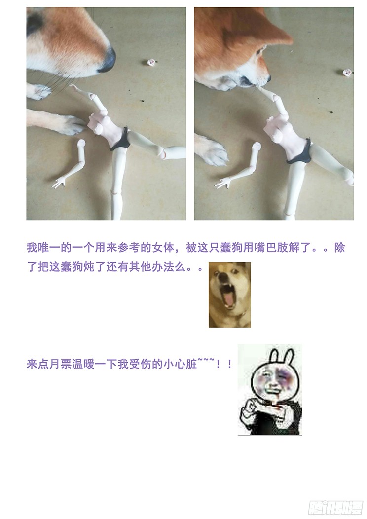 妹子与科学265话 合作机会