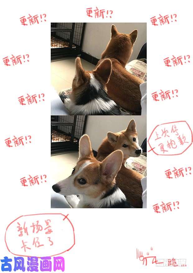 妹子与科学329 夺话自由