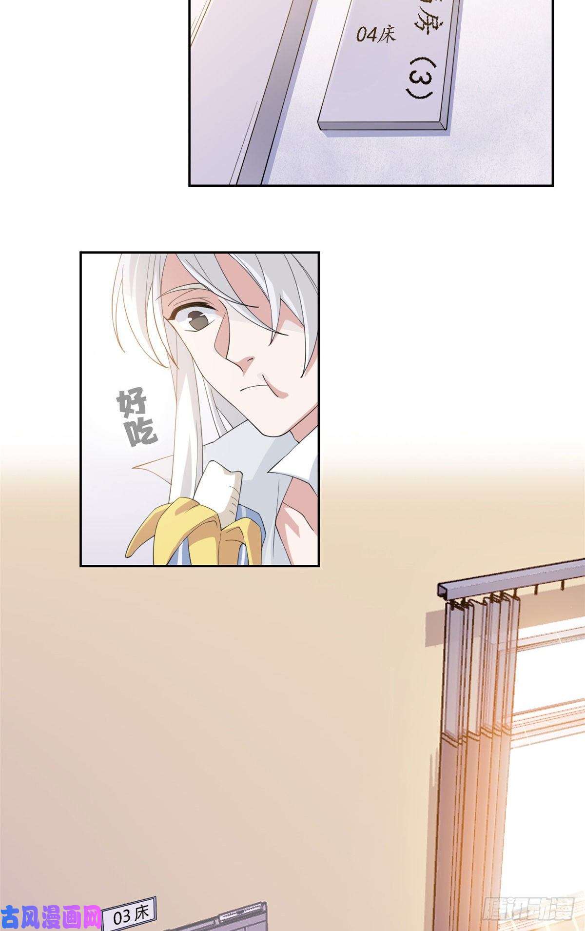 从精神病院走出的强者02 千锤百炼功法