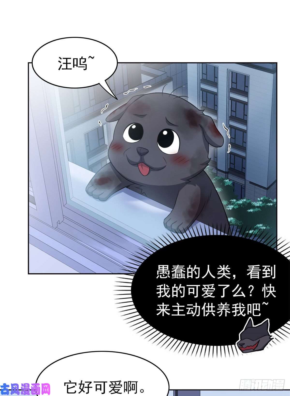 从精神病院走出的强者21 可爱好吃