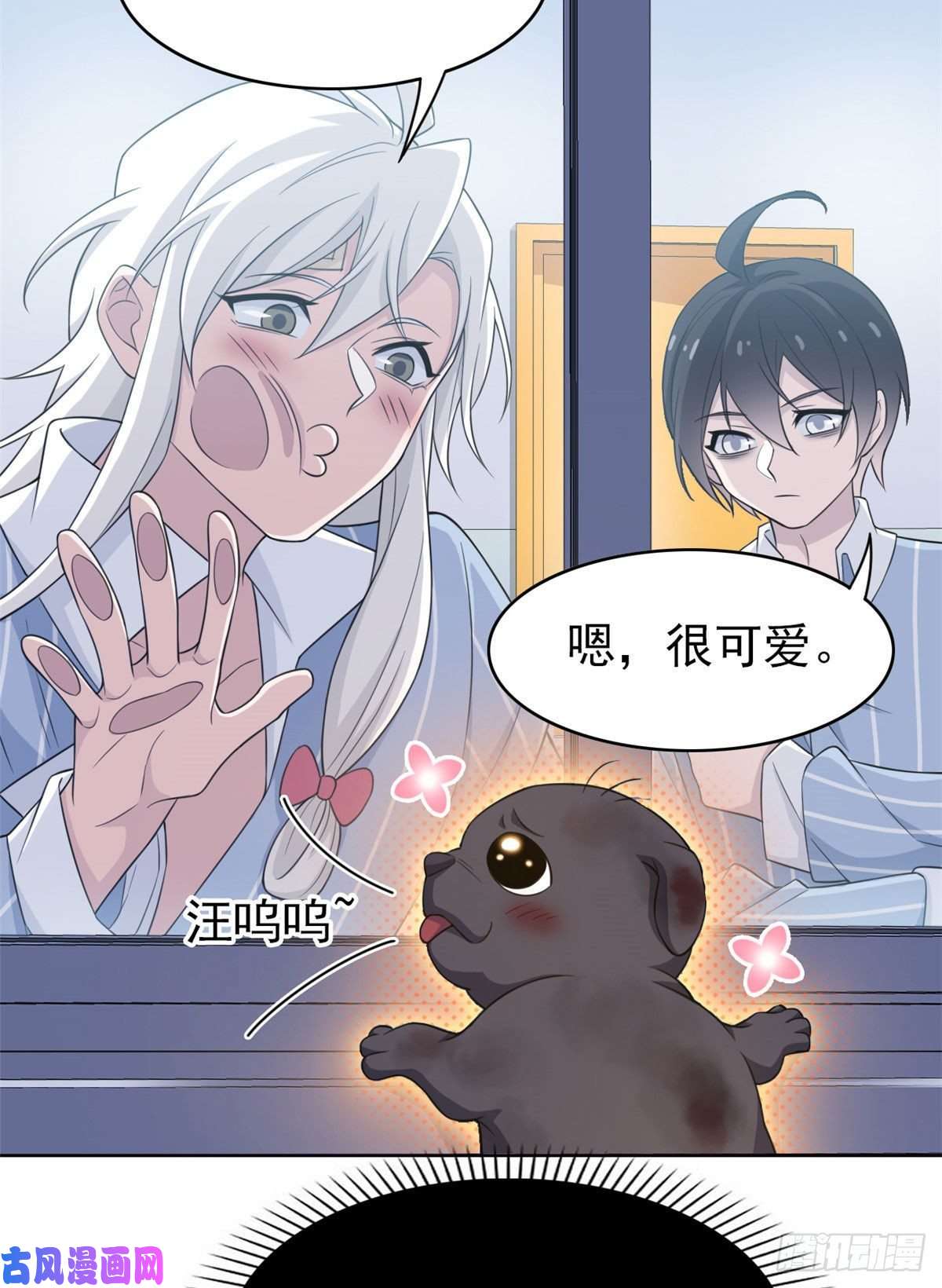 从精神病院走出的强者21 可爱好吃