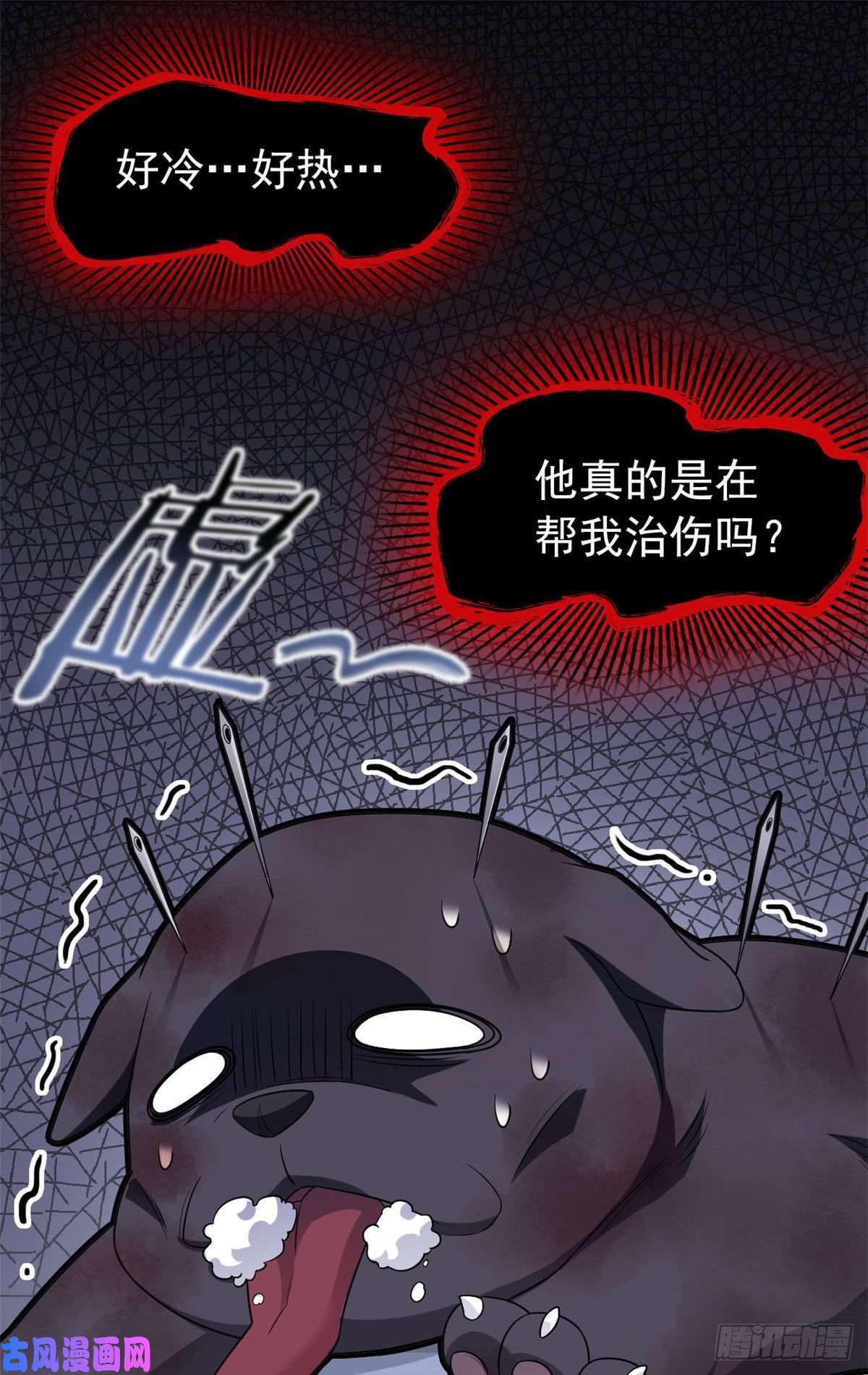 从精神病院走出的强者21 可爱好吃