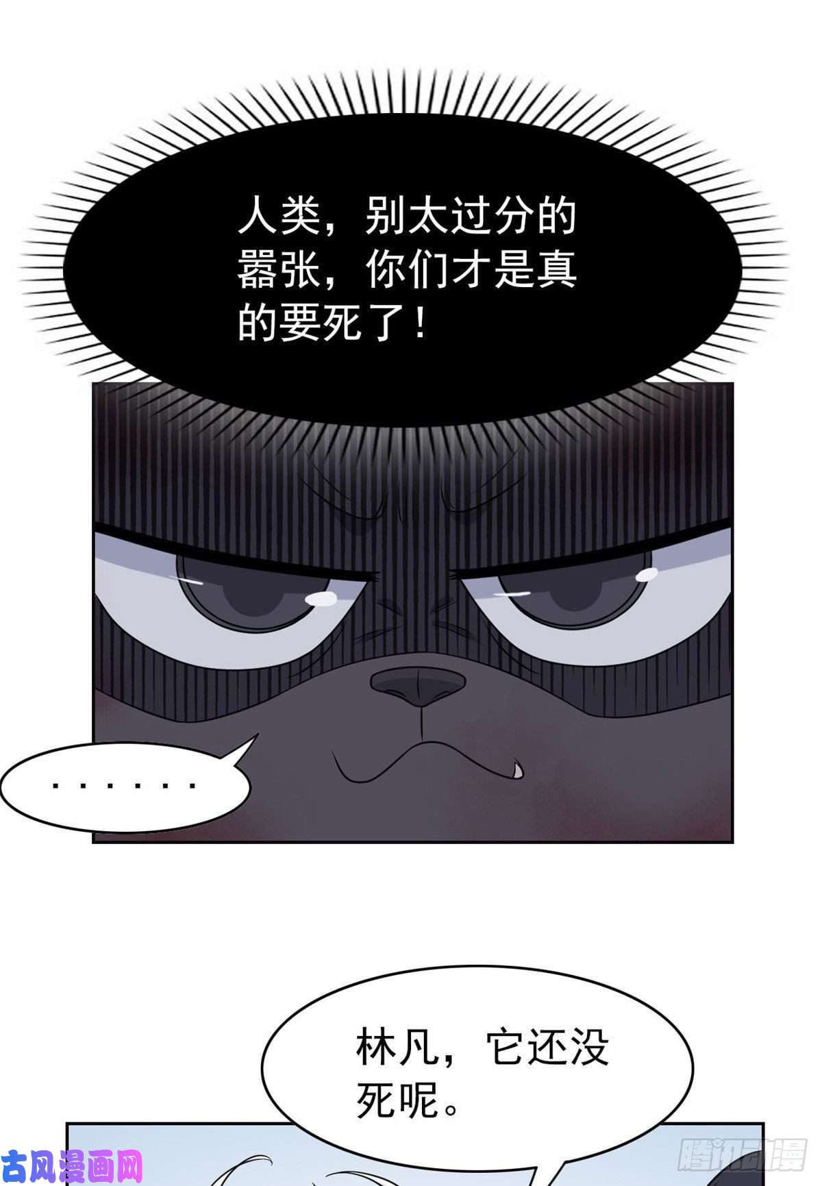 从精神病院走出的强者22 他是几级强者