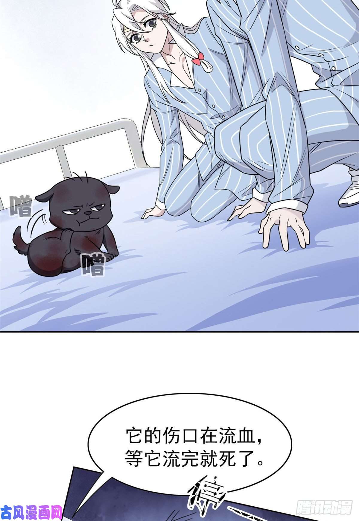 从精神病院走出的强者22 他是几级强者