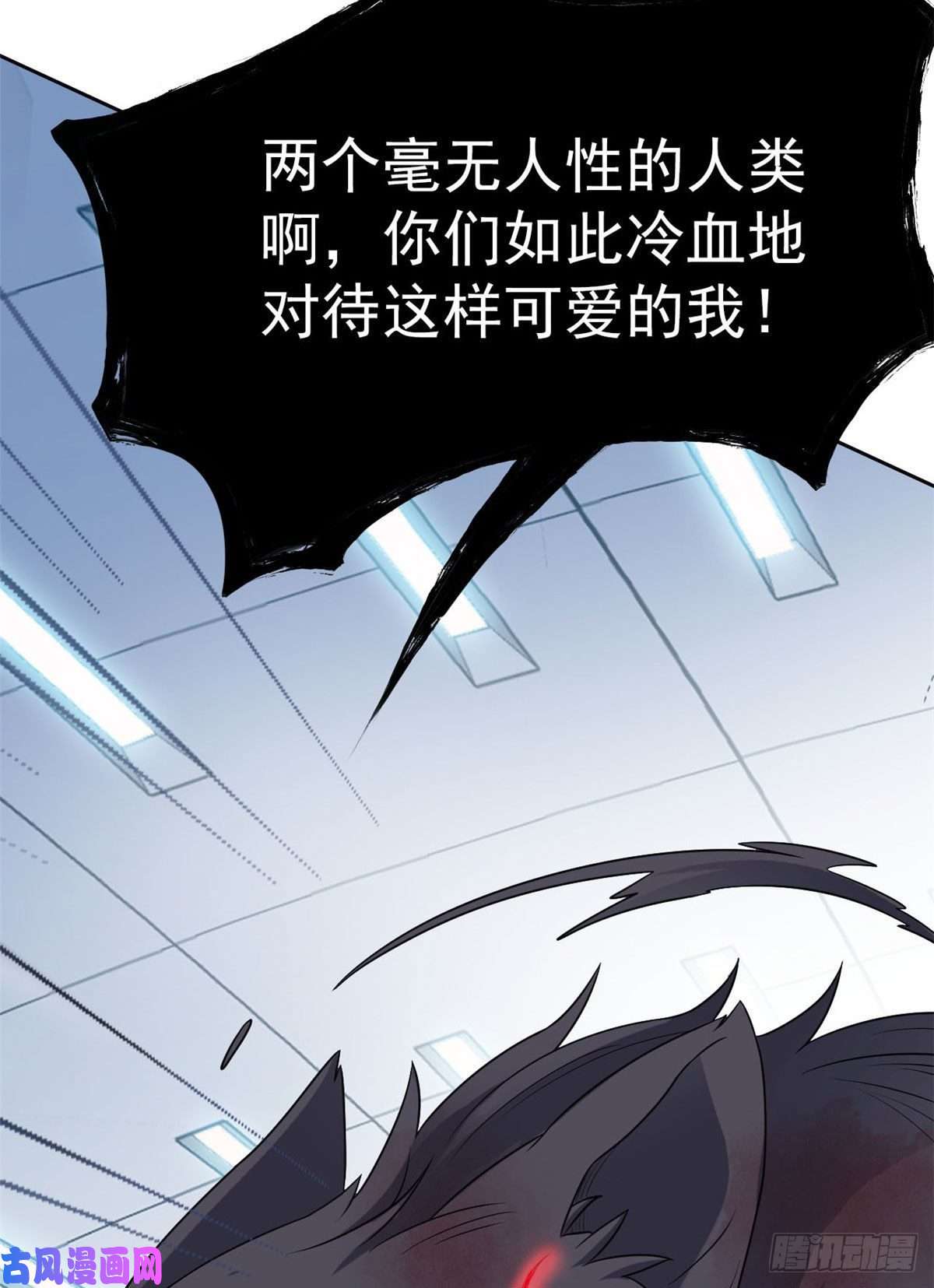从精神病院走出的强者22 他是几级强者