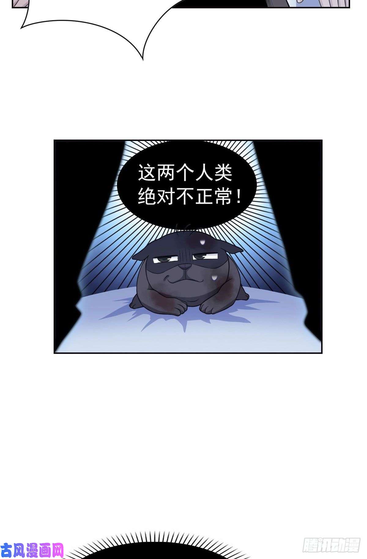 从精神病院走出的强者22 他是几级强者