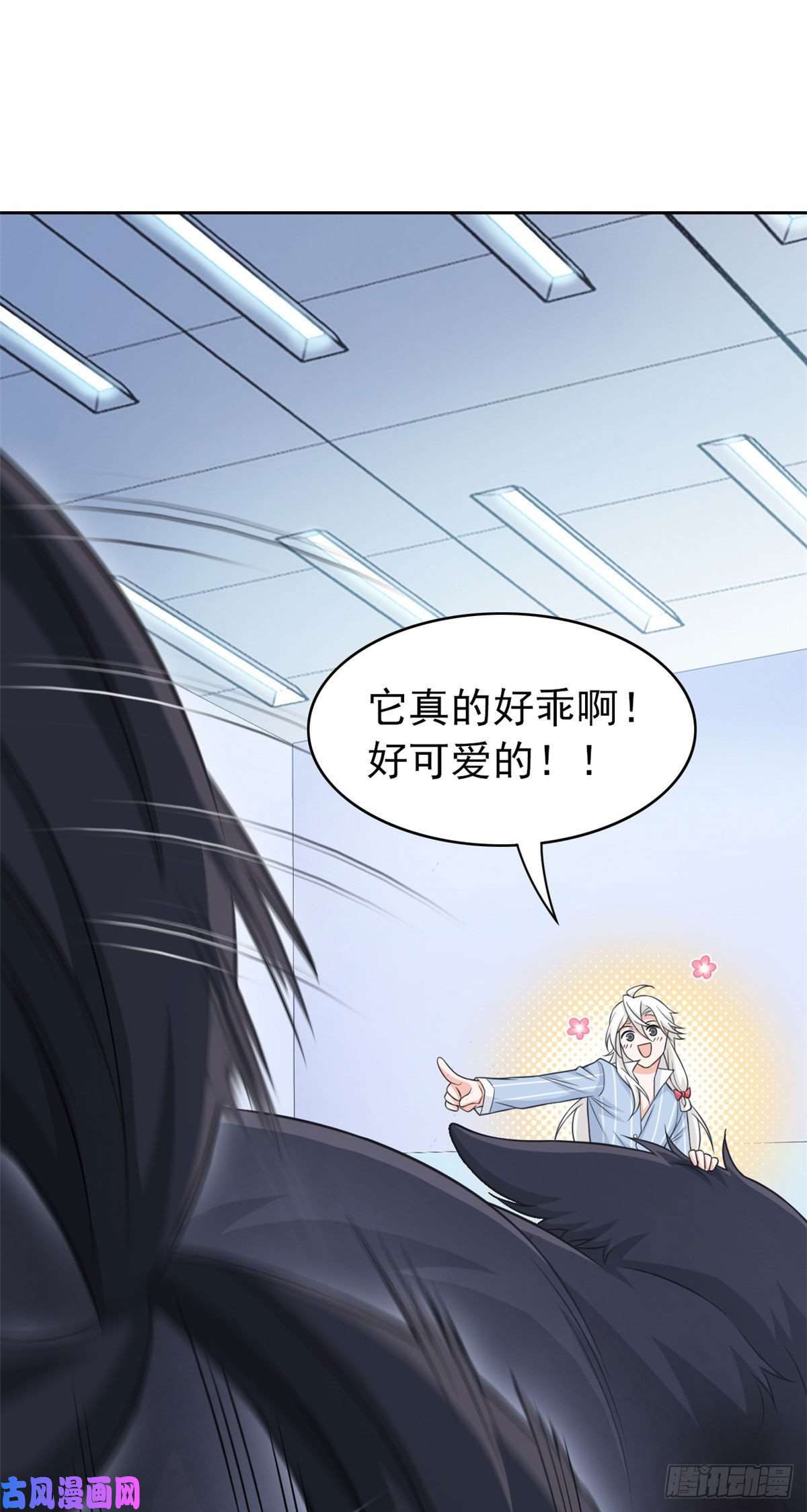 从精神病院走出的强者23 人类恶魔，欺狗太盛