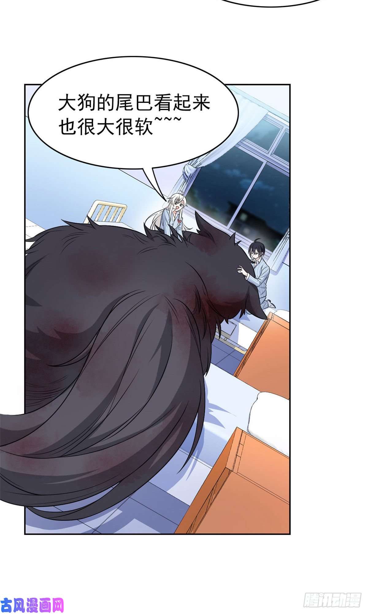 从精神病院走出的强者23 人类恶魔，欺狗太盛