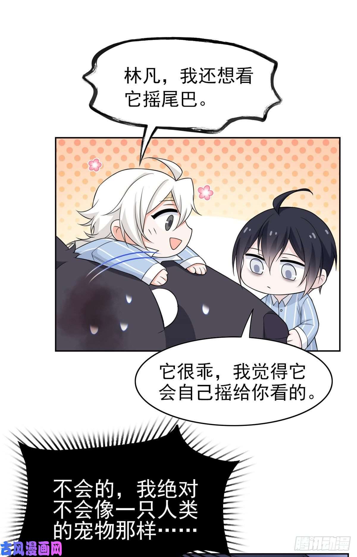 从精神病院走出的强者23 人类恶魔，欺狗太盛