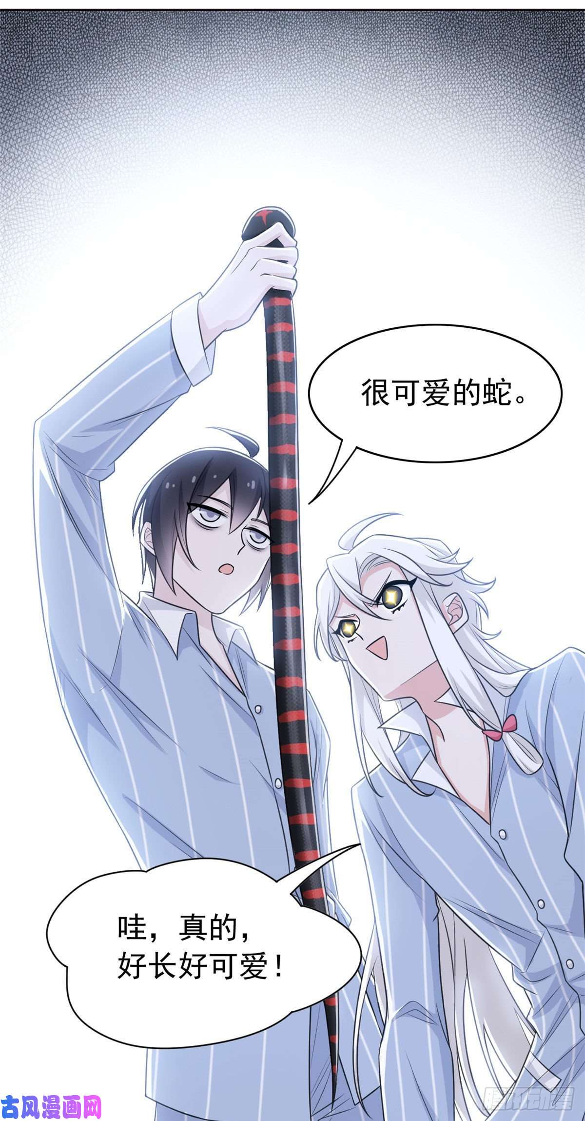 从精神病院走出的强者32 可爱玄蛇，遇对人了