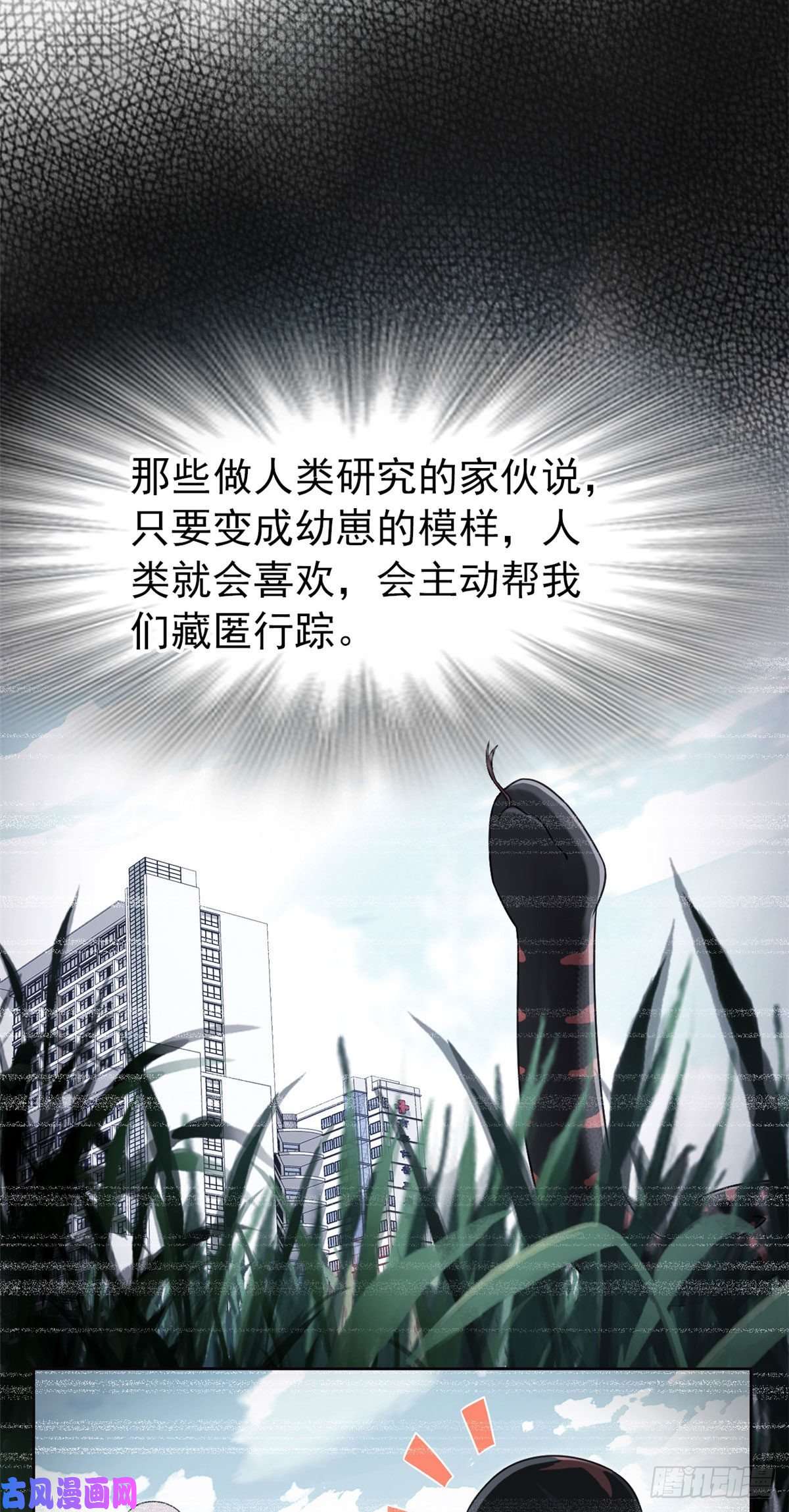 从精神病院走出的强者32 可爱玄蛇，遇对人了