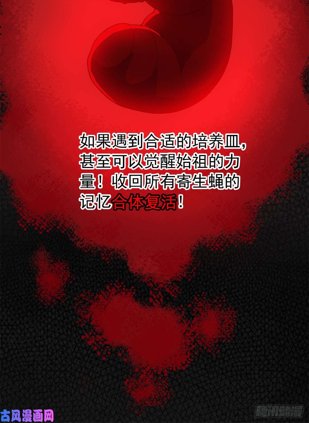 从精神病院走出的强者046 老王老王，死得冤枉