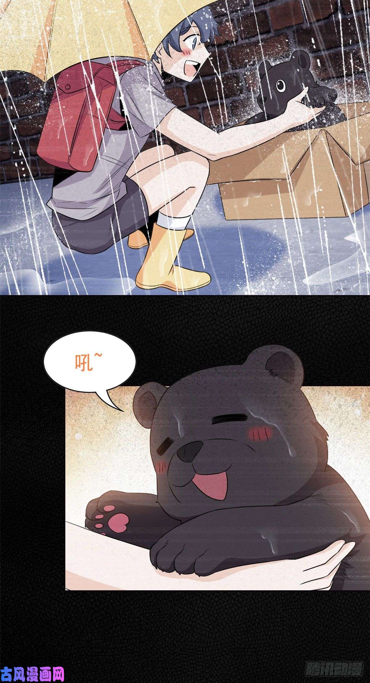从精神病院走出的强者62 狂虎恐怕，话不去了