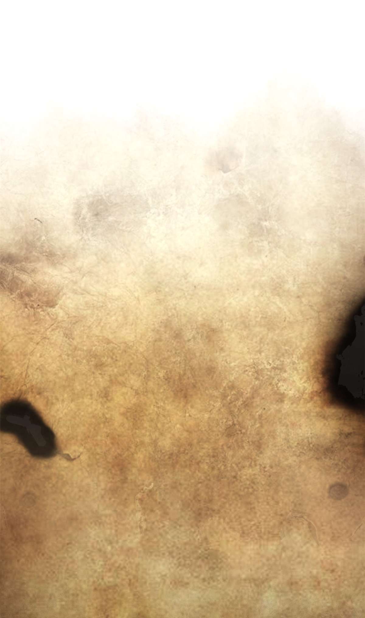 从精神病院走出的强者015 陈哥