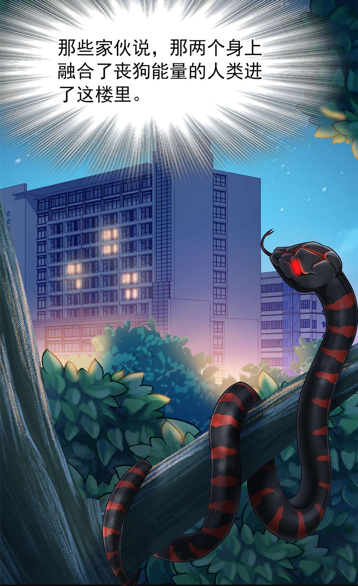 从精神病院走出的强者031 他好卑鄙，而且小气