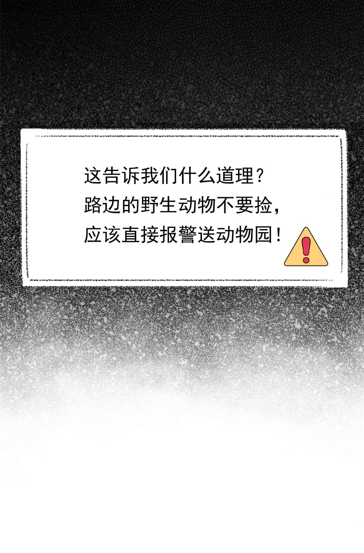 从精神病院走出的强者062 狂虎恐怕，话不去了