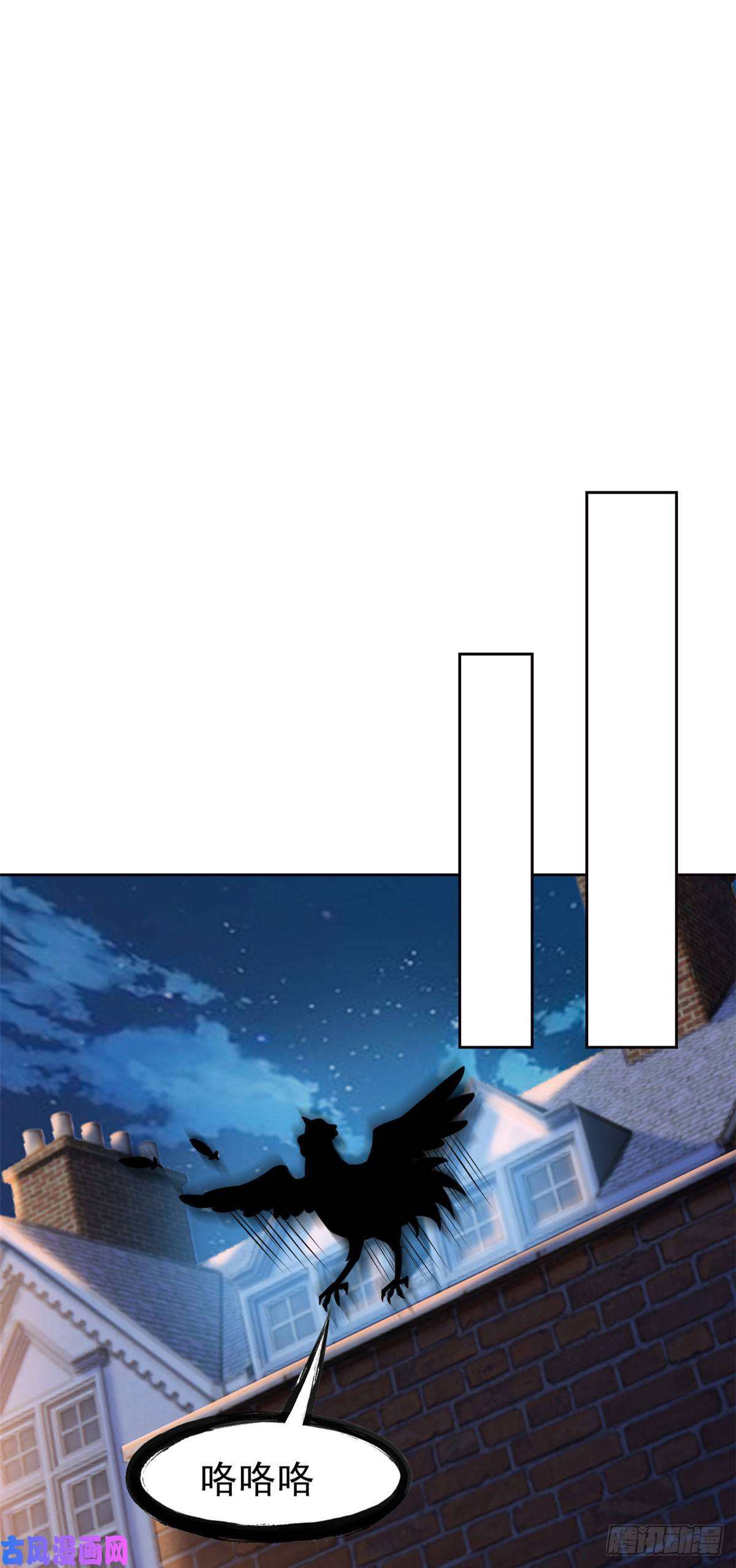 从精神病院走出的强者72 宠物公鸡，邪物英雄