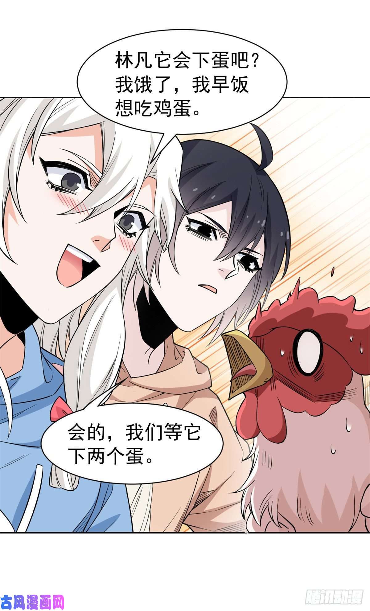 从精神病院走出的强者74 不是母鸡，不会屈服