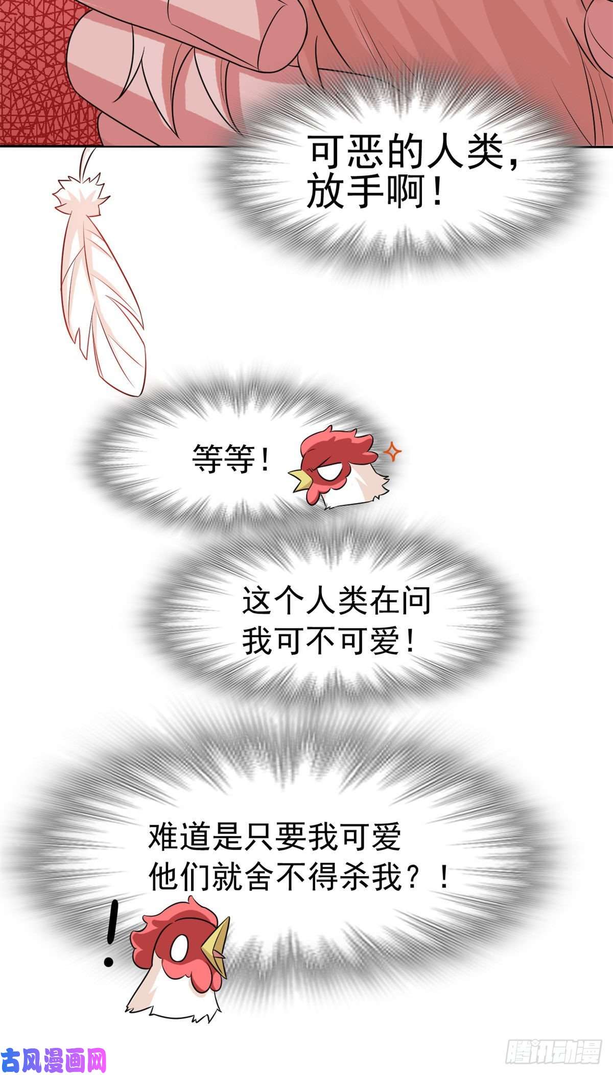 从精神病院走出的强者74 不是母鸡，不会屈服