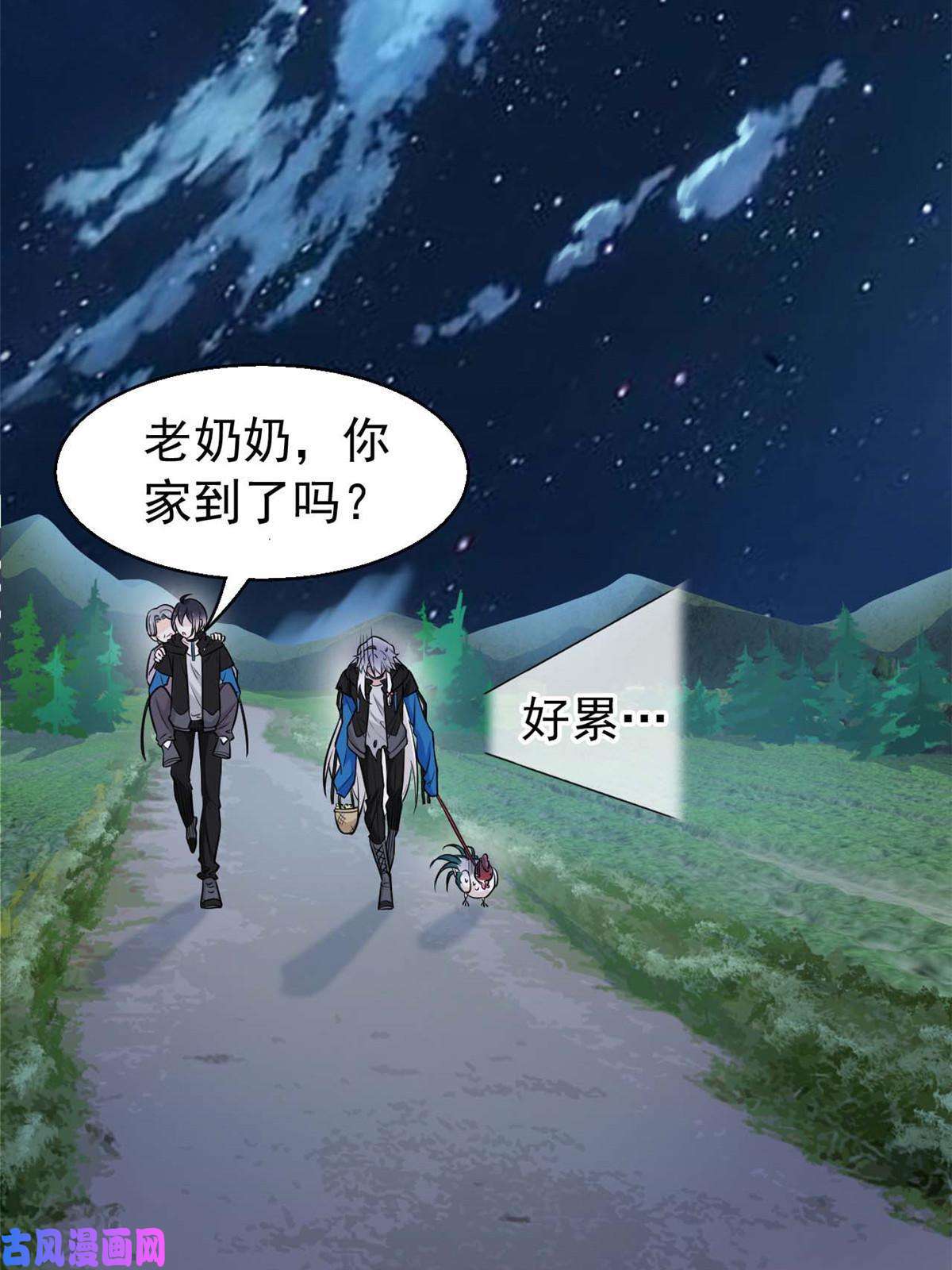 从精神病院走出的强者79 公鸡领路，法王被坑