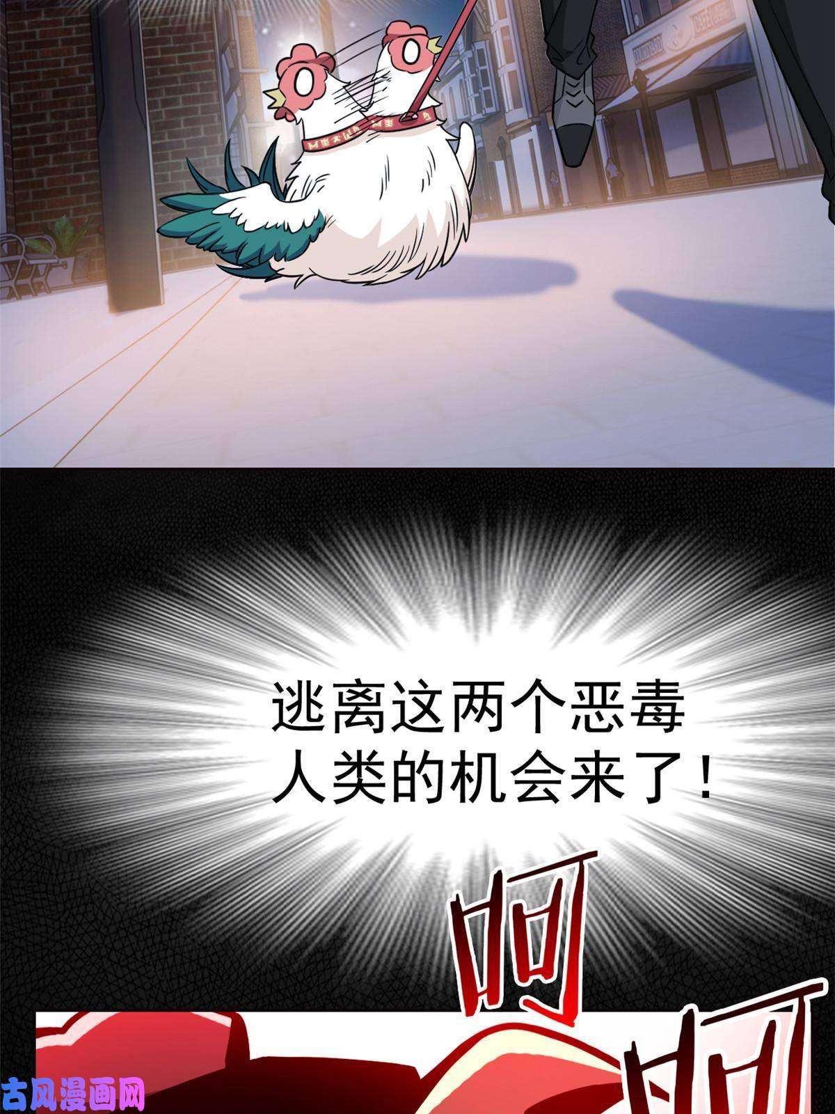 从精神病院走出的强者79 公鸡领路，法王被坑