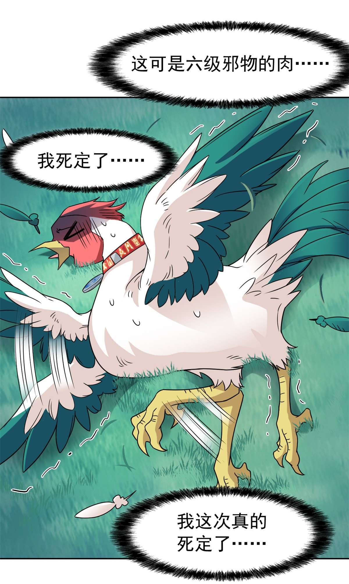 从精神病院走出的强者083 鸡果然鸡，臭不要脸！
