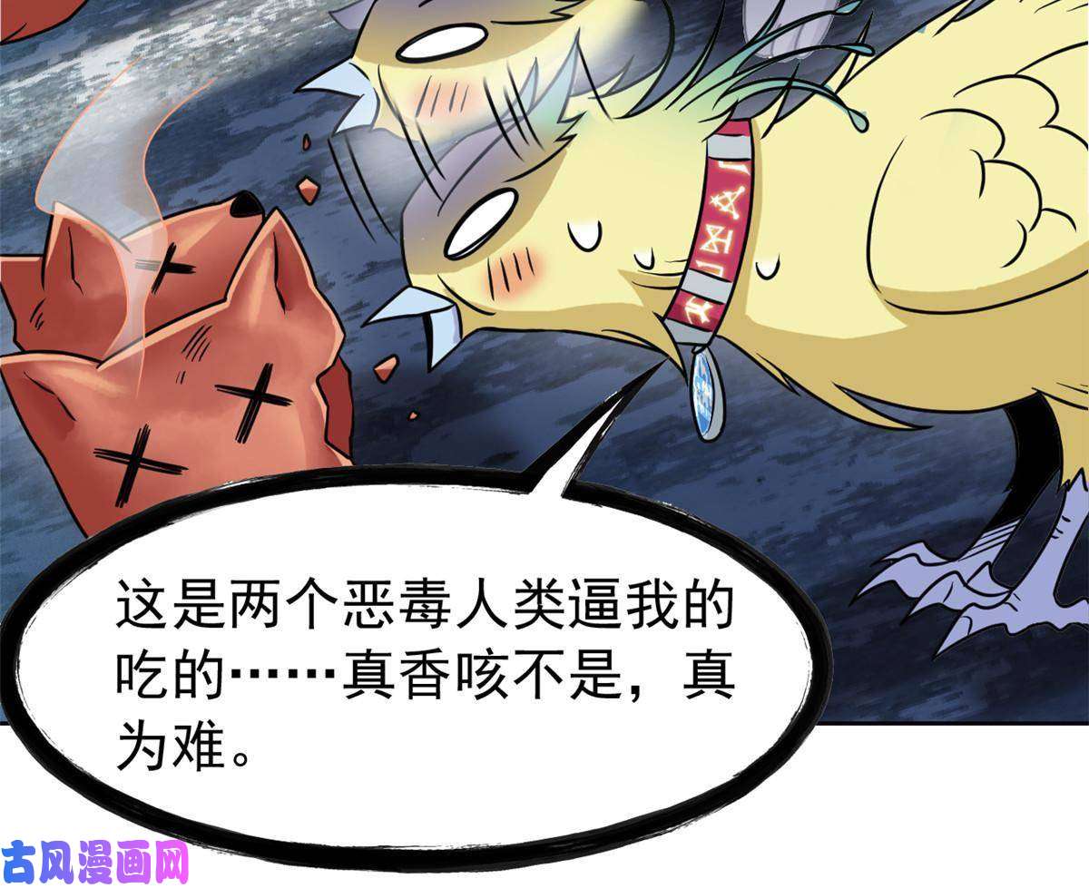 从精神病院走出的强者93 此鸡之贱，习惯就好