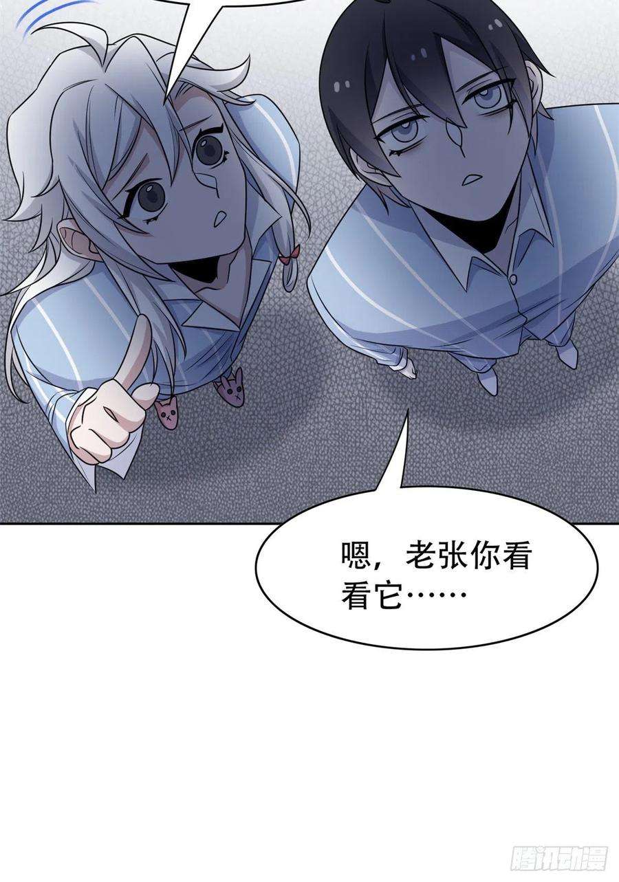 从精神病院走出的强者47 你看那只，可不可爱？
