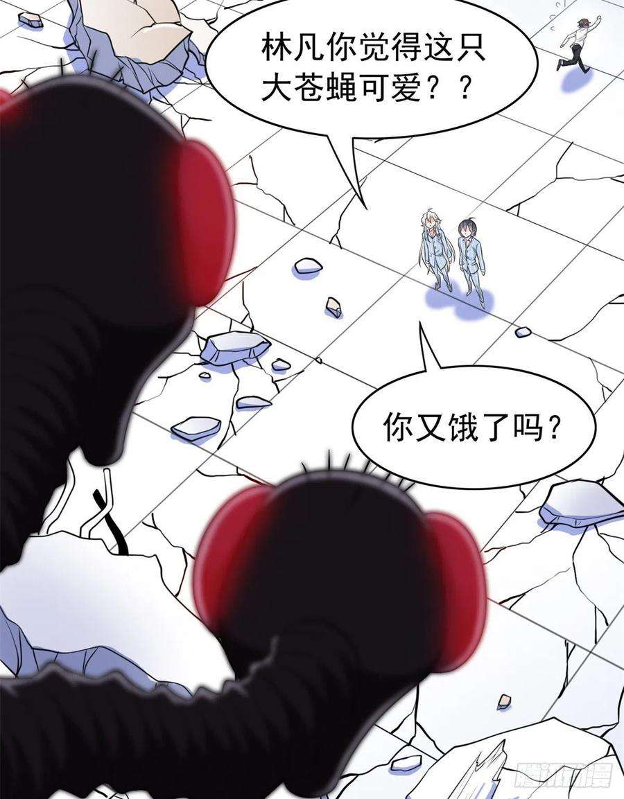 从精神病院走出的强者48 一起承担，然后跑了