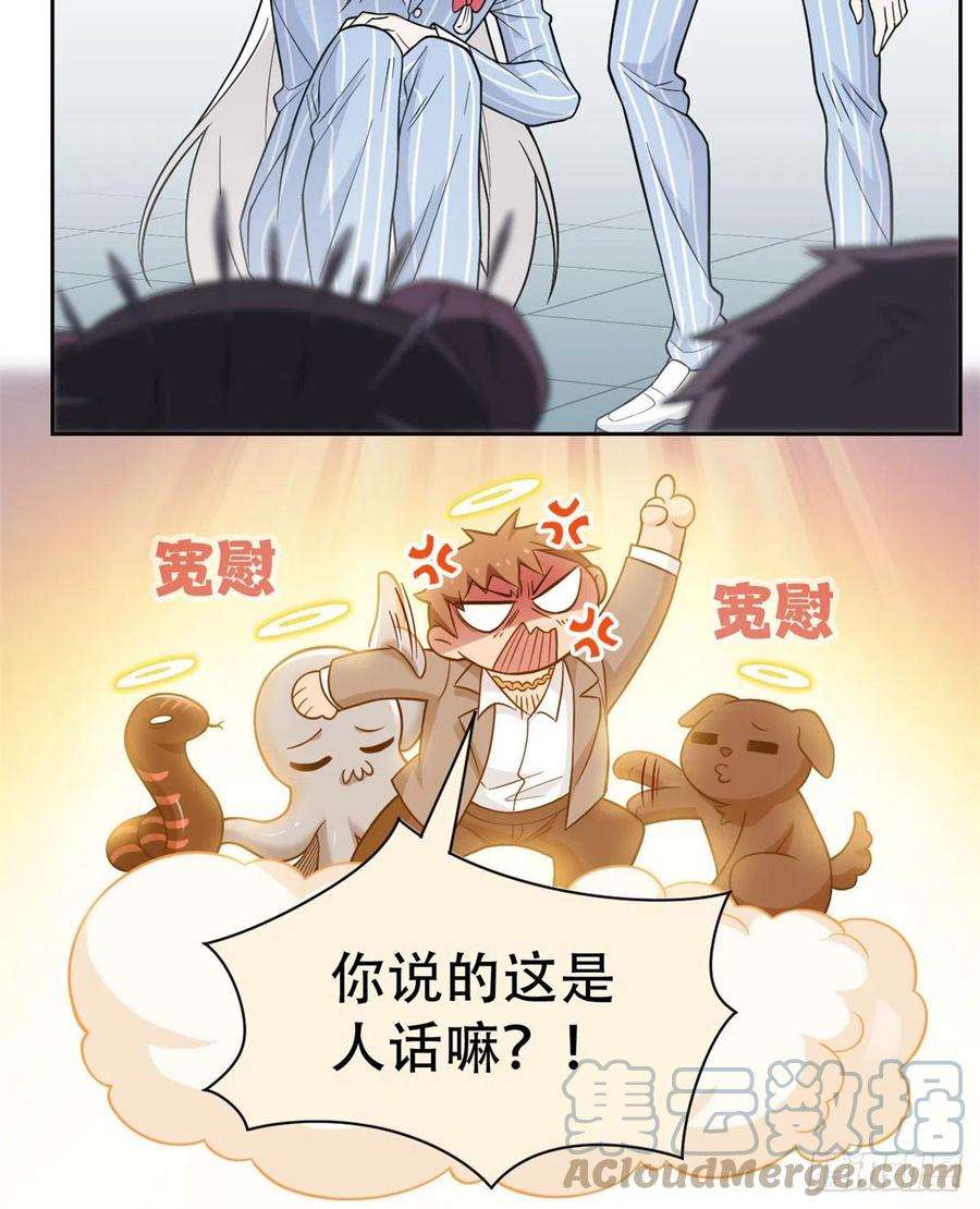从精神病院走出的强者48 一起承担，然后跑了