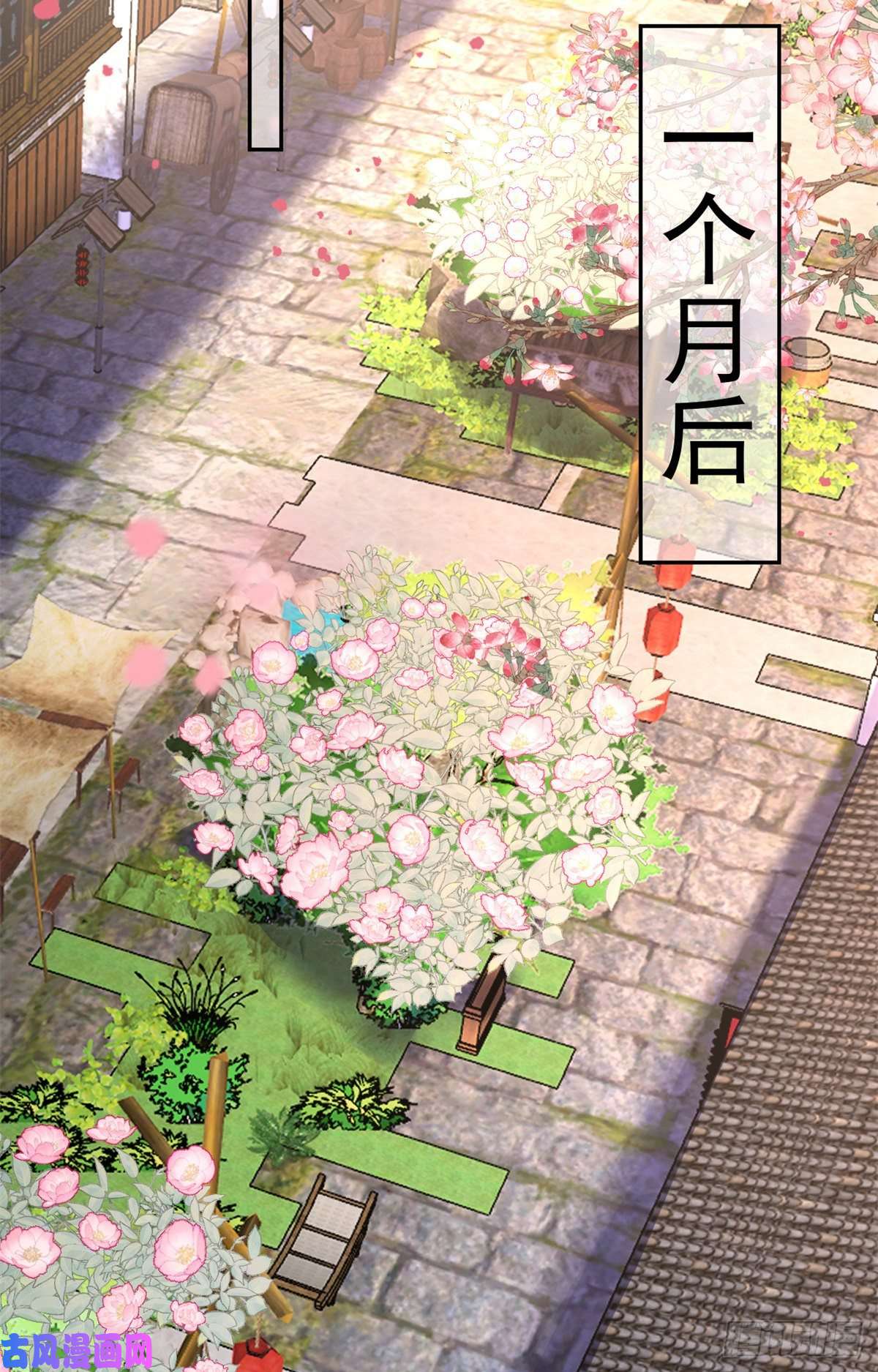 当大佬从花钱开始69 王爷万福-牡丹海棠争锋