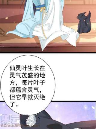 当大佬从花钱开始95 无上仙途-雪渊原结局