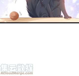 当大佬从花钱开始95 无上仙途-雪渊原结局