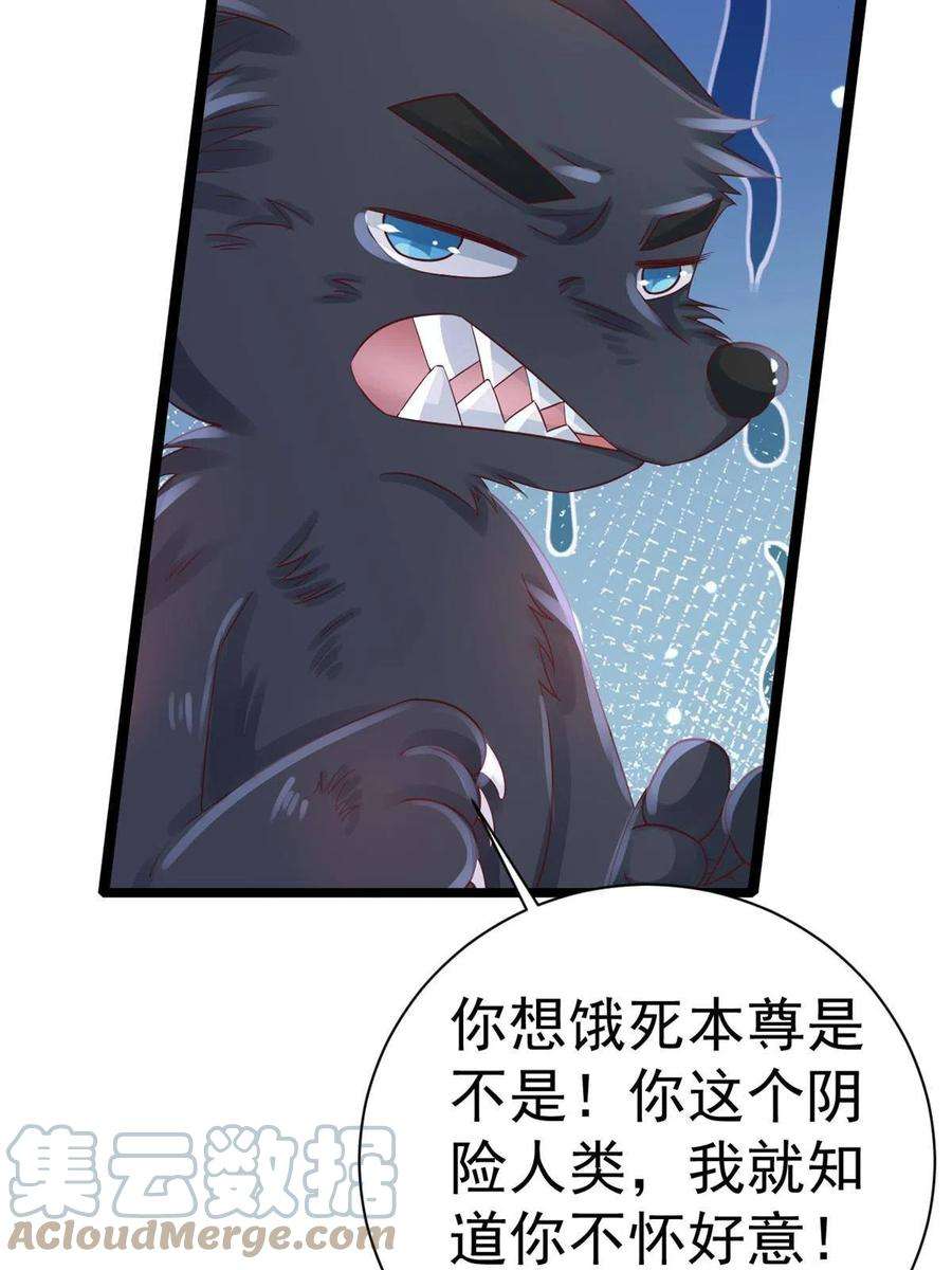 当大佬从花钱开始96 无上仙途-新的山大王