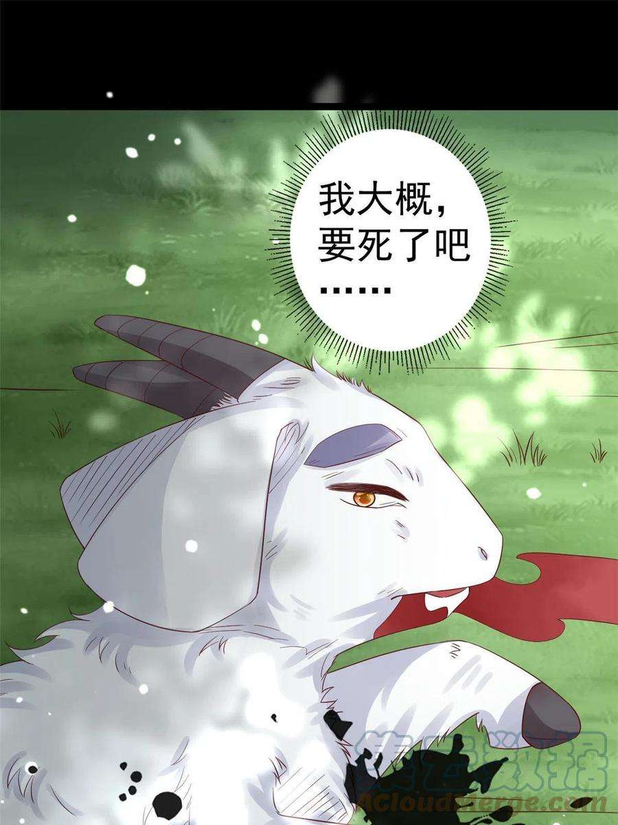 当大佬从花钱开始96 无上仙途-新的山大王