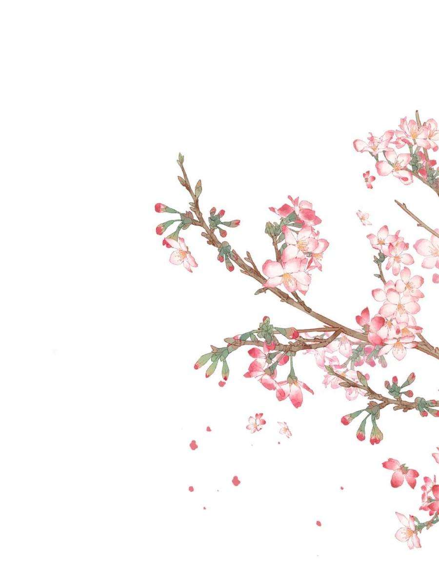 当大佬从花钱开始105 无上仙途-快乐的事