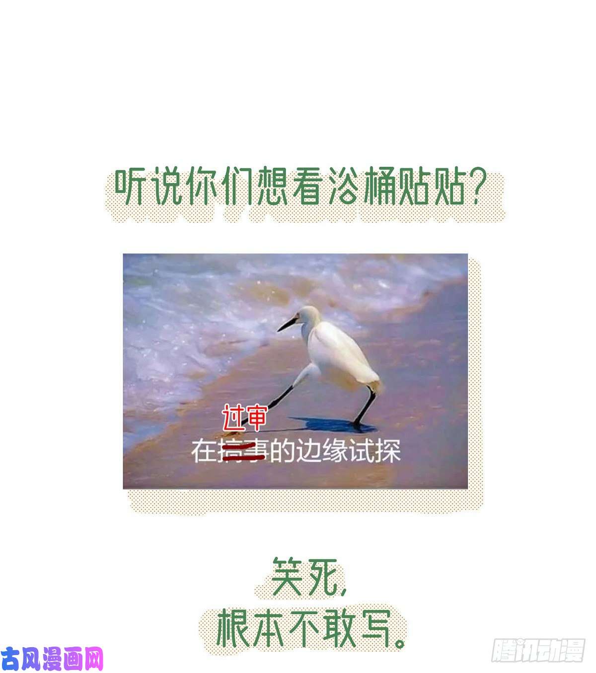 解战袍从未放弃找你