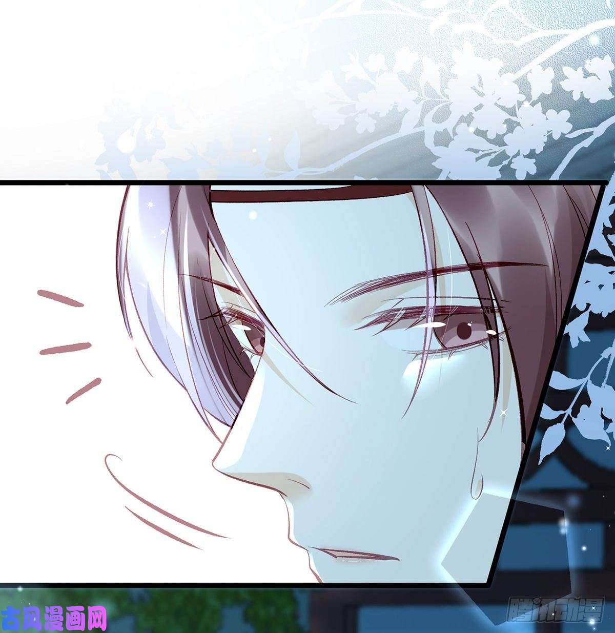 解战袍肉包情缘