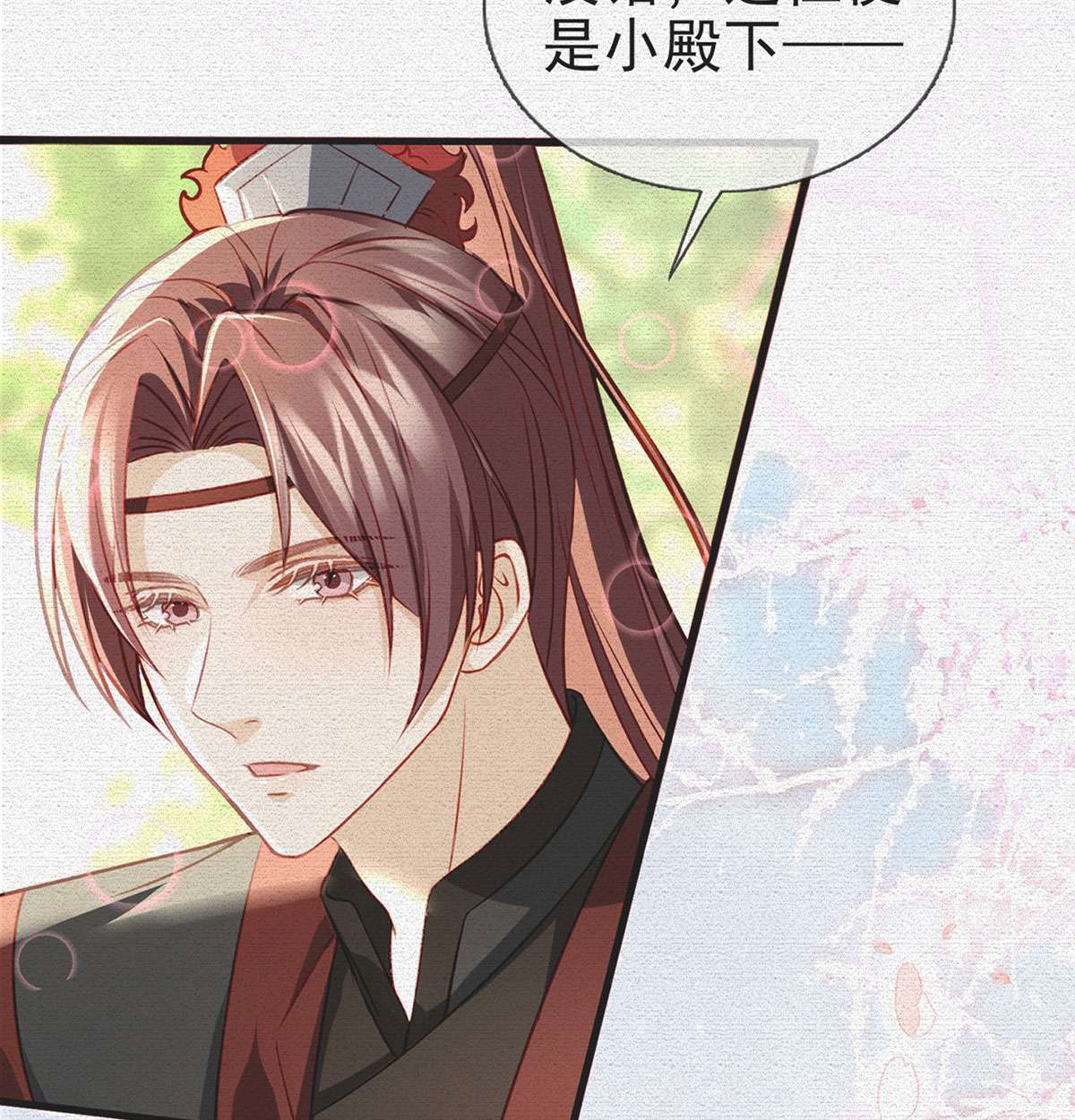 解战袍029 你也想当皇子吗？