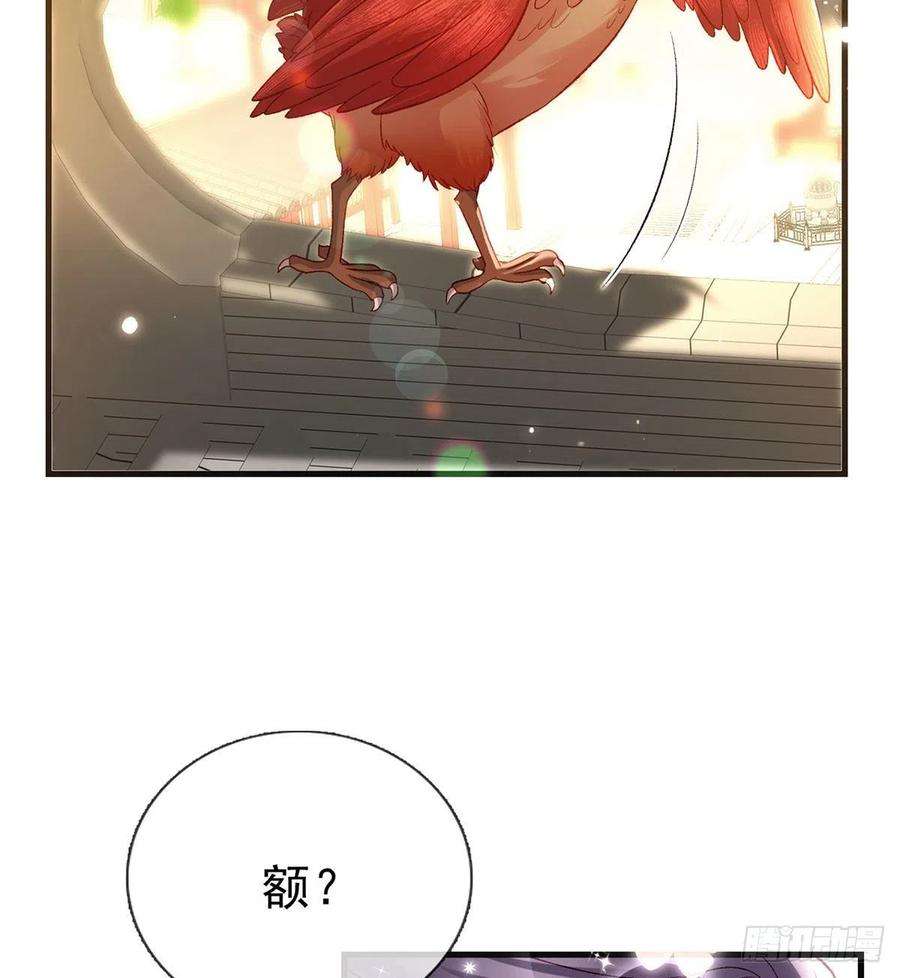 解战袍我也想试试