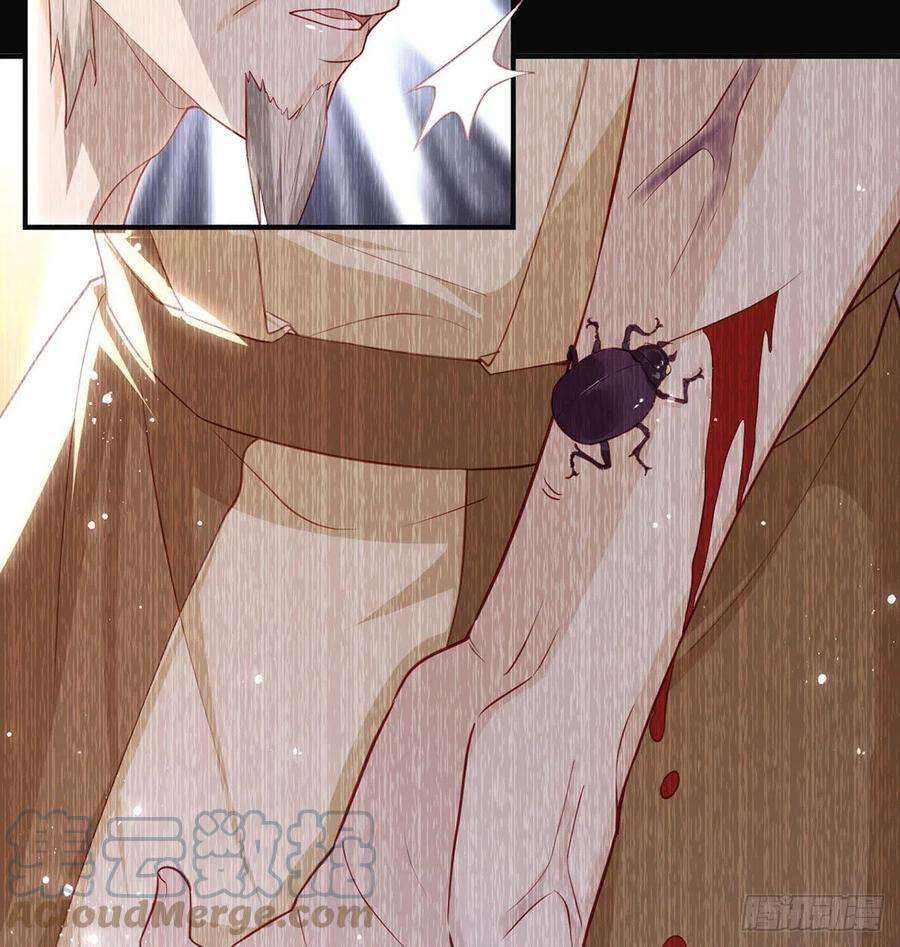 解战袍麒王的感情？！