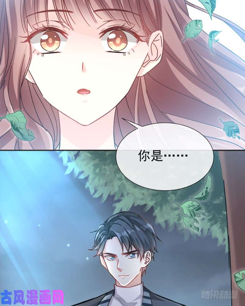 霸道总裁轻点爱003 这一世你们休想得逞！