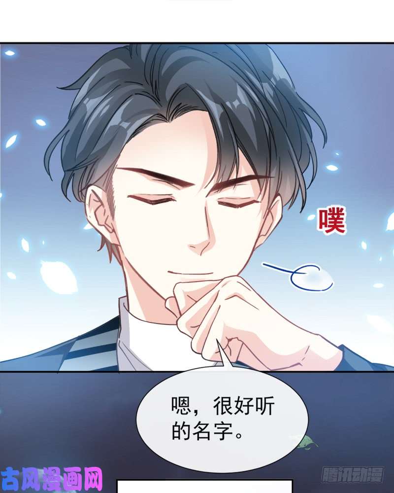 霸道总裁轻点爱004 温暖的晚餐