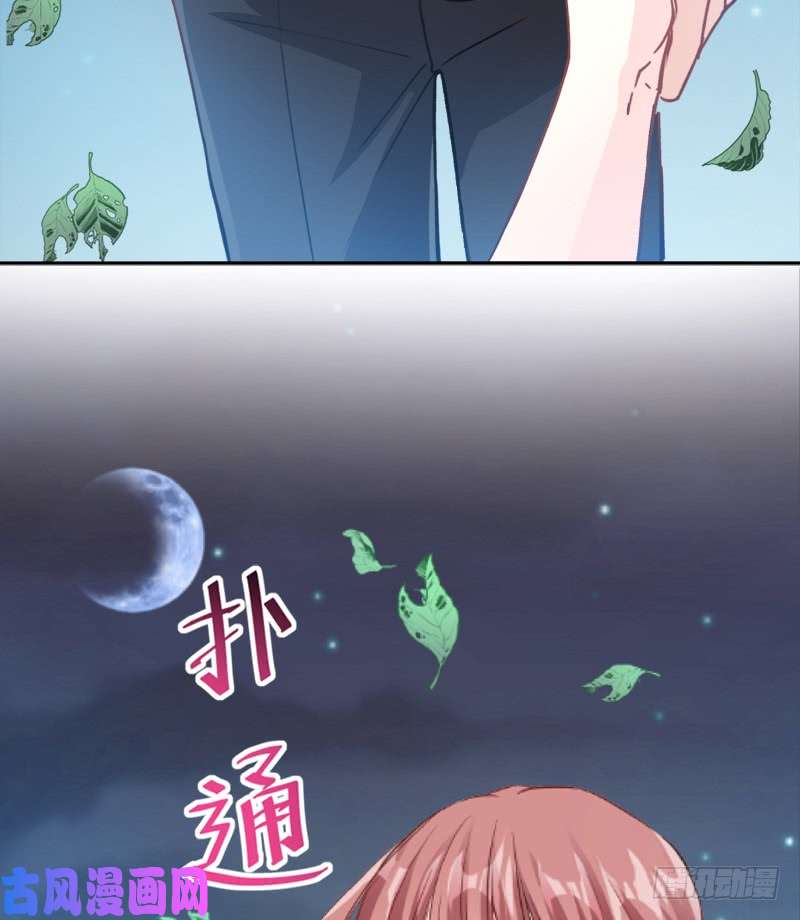 霸道总裁轻点爱004 温暖的晚餐