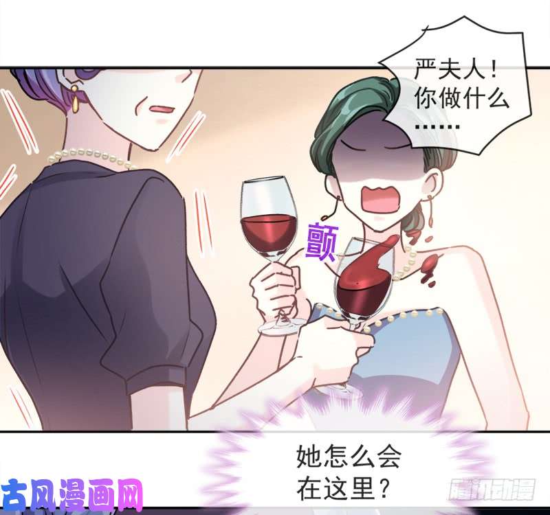 霸道总裁轻点爱006 话到严家
