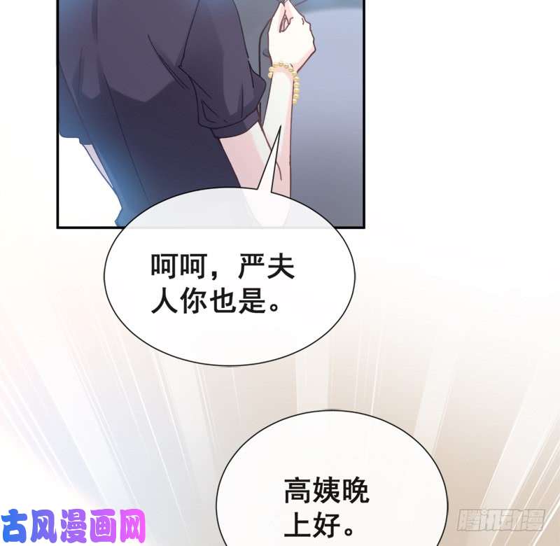 霸道总裁轻点爱006 话到严家