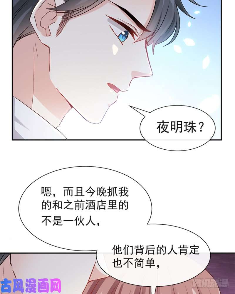 霸道总裁轻点爱013 闷葫芦开花了